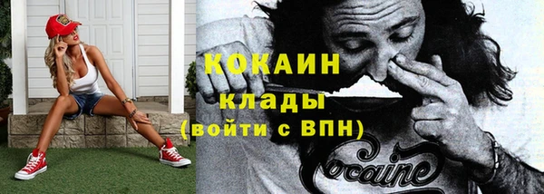 прущие грибы Елизово