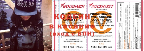 прущие грибы Елизово